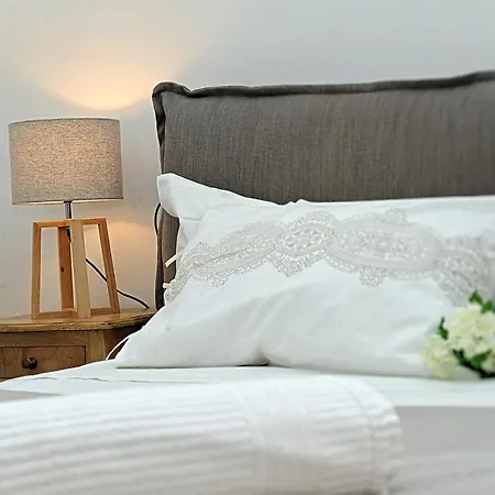 Guest house Domus Plaza
