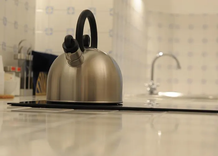 Domus Plaza 4* Φλωρεντία