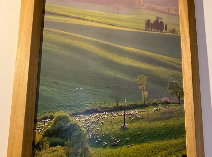 Domus Plaza Φλωρεντία