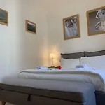 Konukevi Domus Plaza Floransa