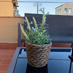 Domus Plaza 4*